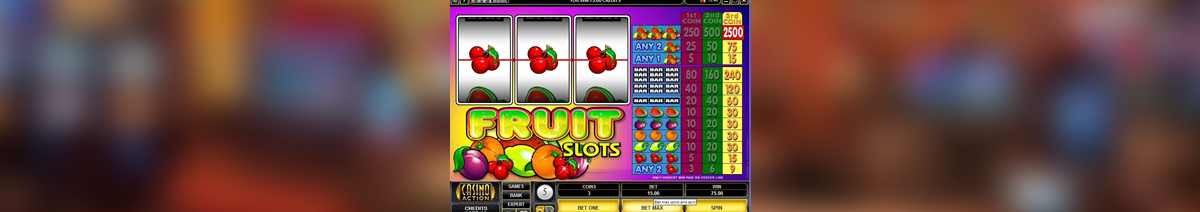 MicroGaming Fruit Slot